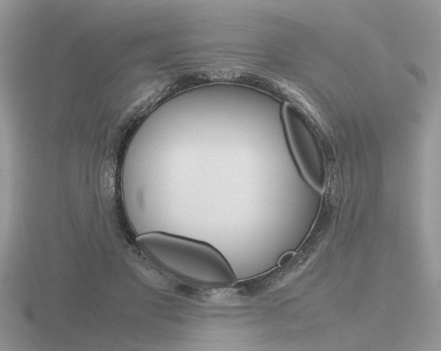 X0000116600501200912110943