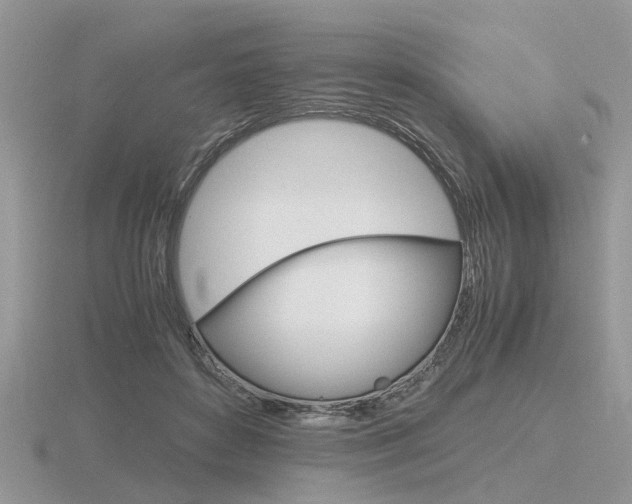 X0000116600504200912110943