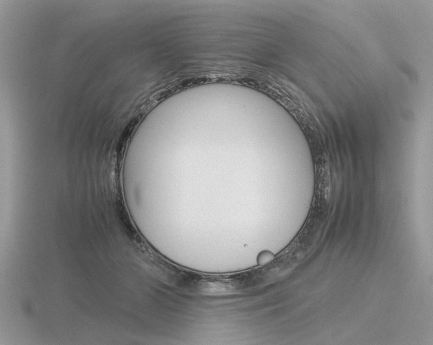 X0000116600510200912110942