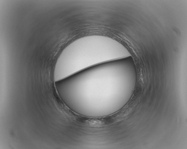 X0000116600512200912110942