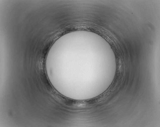 X0000116600514200912110942