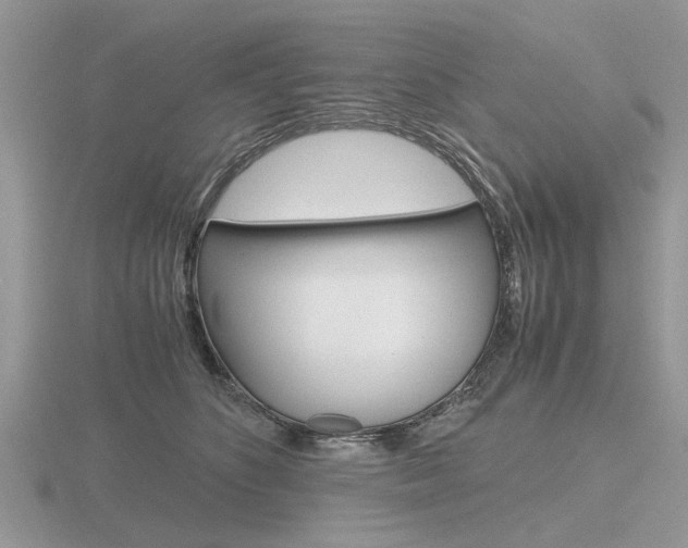 X0000116600516200912110942