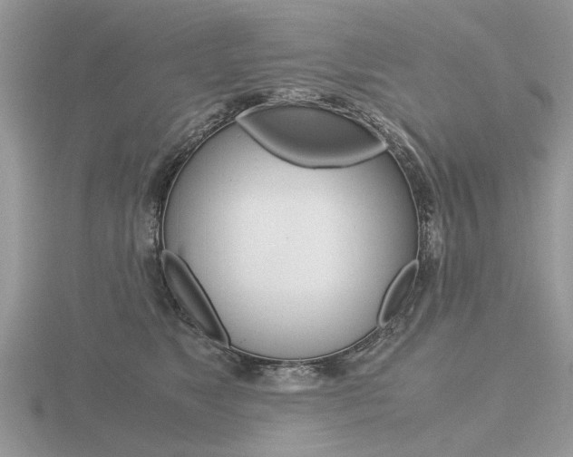 X0000116600517200912110942