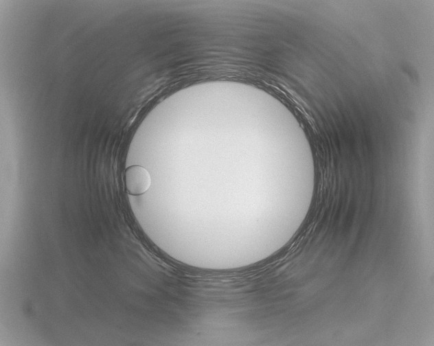 X0000116600524200912110942