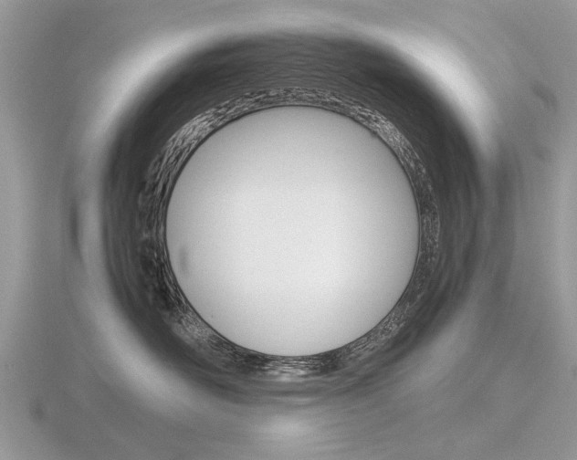 X0000116600526200912110942
