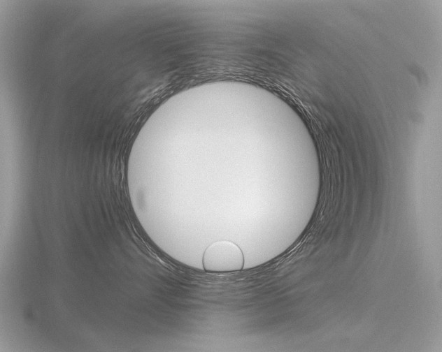 X0000116600528200912110942