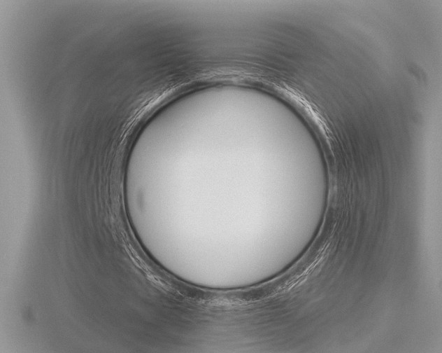 X0000116600529200912110941