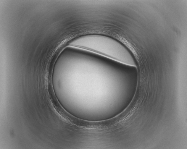 X0000116600530200912110941