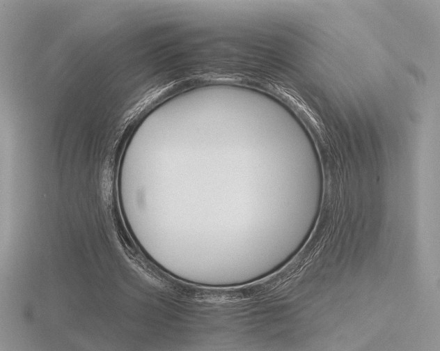X0000116600533200912110942