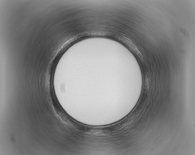 X0000116600534200912110942