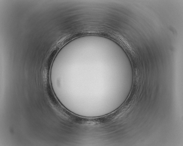 X0000116600542200912110942
