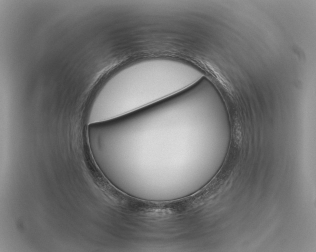 X0000116600543200912110942