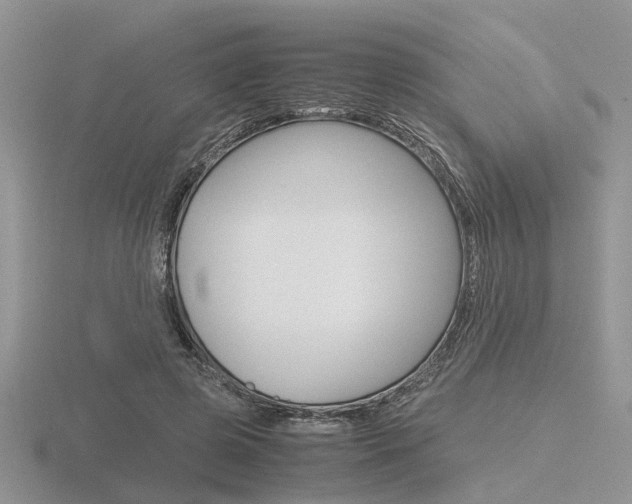 X0000116600545200912110942