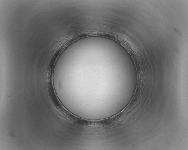 X0000116600546200912110942