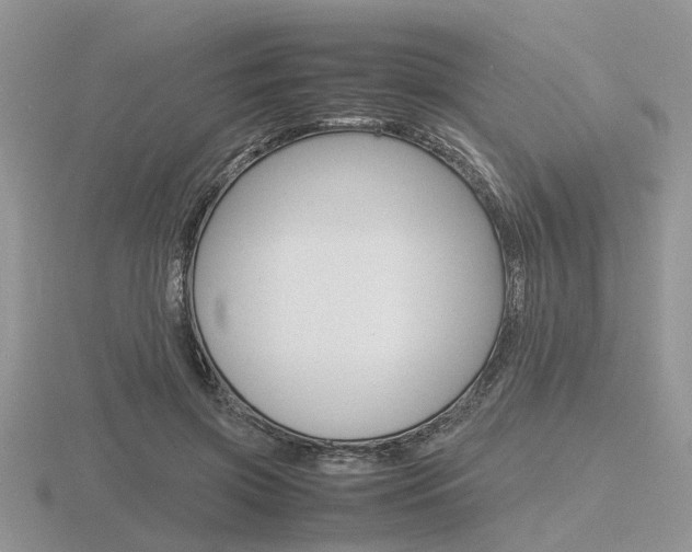 X0000116600549200912110942