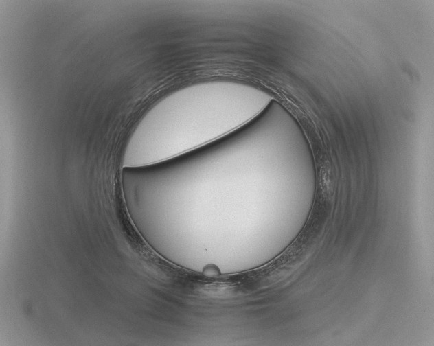 X0000116600551200912110942