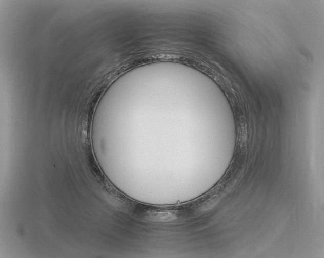 X0000116600553200912110942