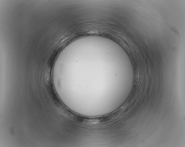 X0000116600554200912110942