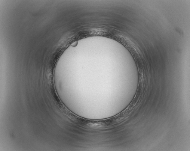 X0000116600557200912110942
