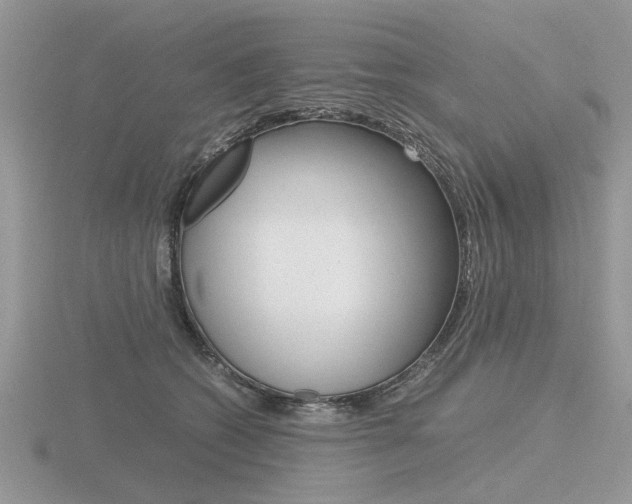 X0000116600562200912110942