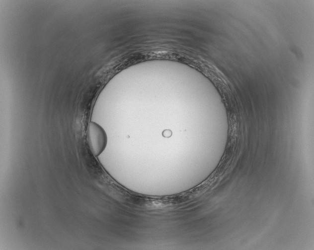 X0000116600565200912110942