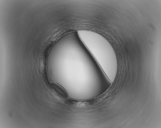 X0000116600566200912110942