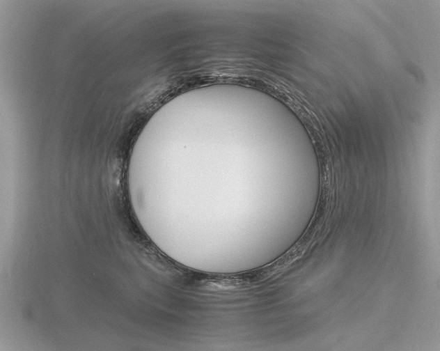 X0000116600567200912110942