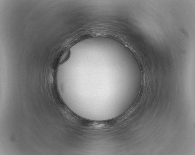 X0000116600570200912110942