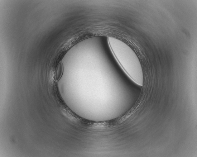 X0000116600574200912110942