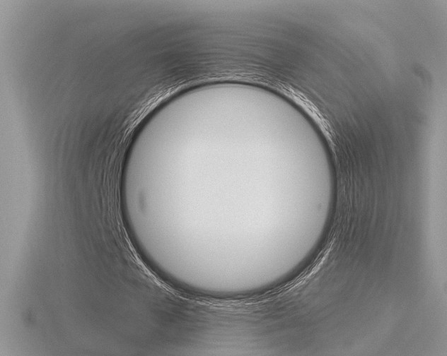 X0000116600577200912110941