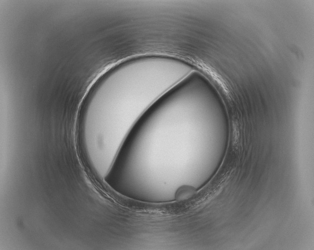 X0000116600580200912110941