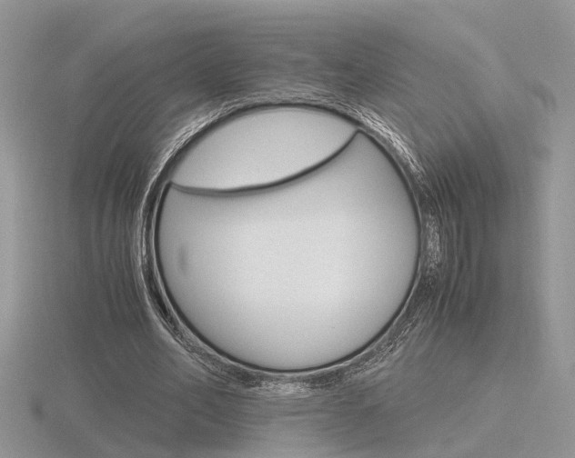 X0000116600582200912110941