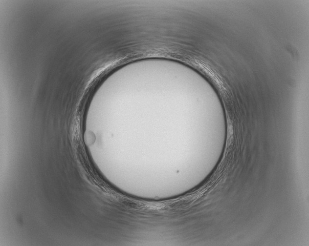 X0000116600583200912110941