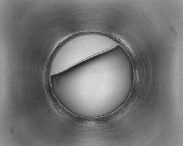 X0000116600588200912110941