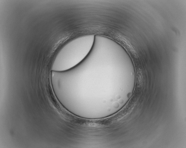 X0000116600590200912110941