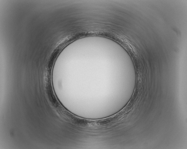 X0000116600591200912110941
