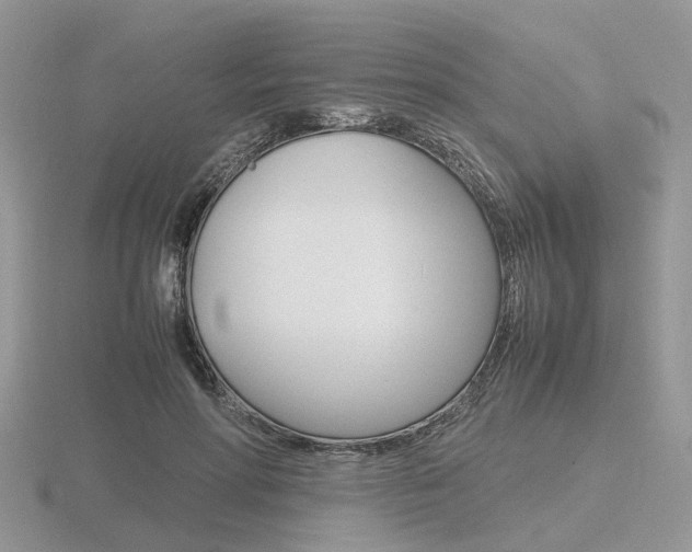 X0000116600598200912110941