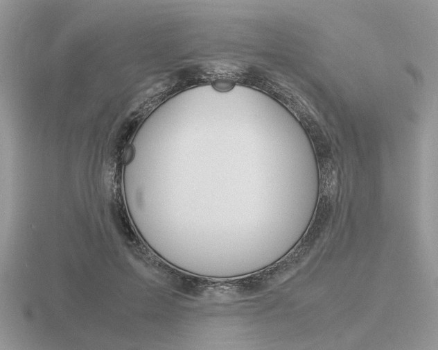 X0000116600599200912110941