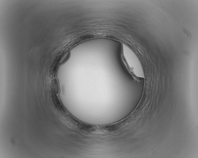 X0000116600601200912110941
