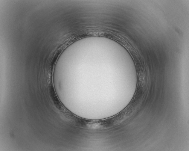X0000116600602200912110941