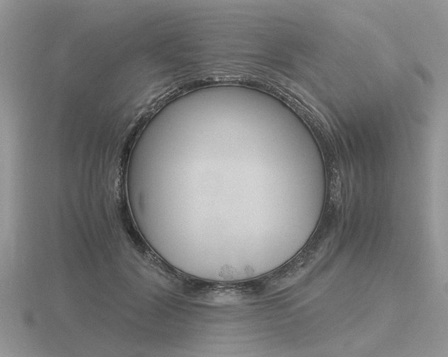 X0000116600604200912110941