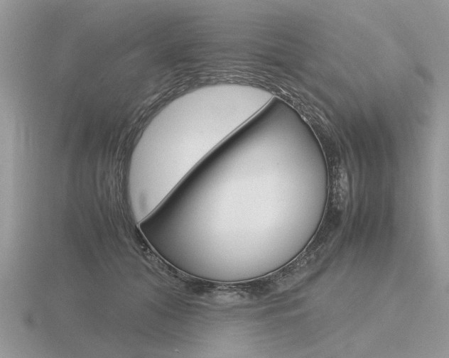 X0000116600608200912110941