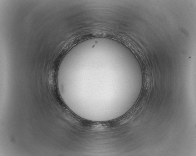 X0000116600616200912110941