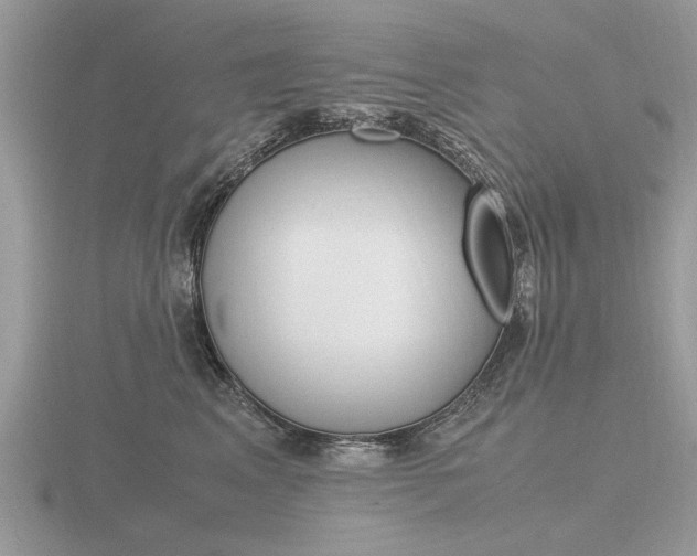 X0000116600617200912110941