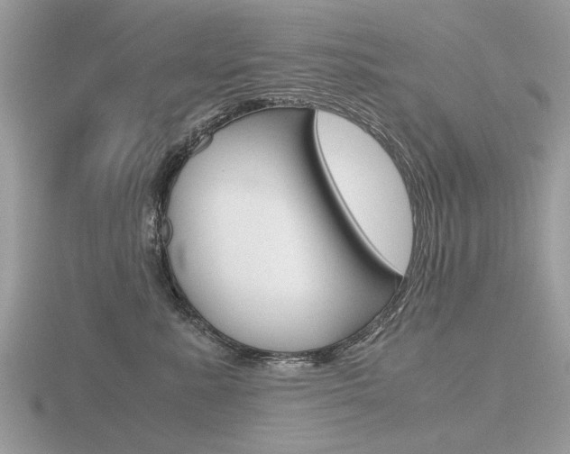 X0000116600619200912110941