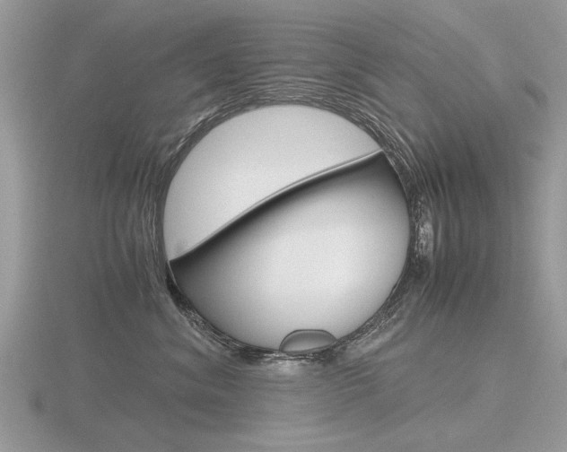 X0000116600620200912110941