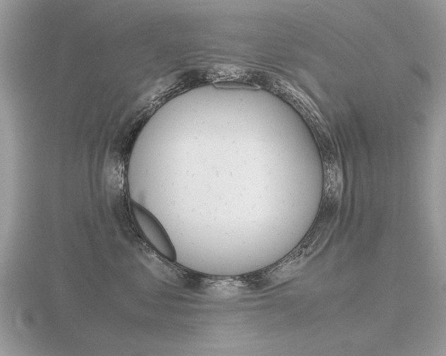X0000116600621200912110941