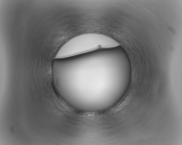X0000116600624200912110941
