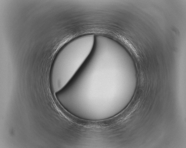 X0000116600625200912110940