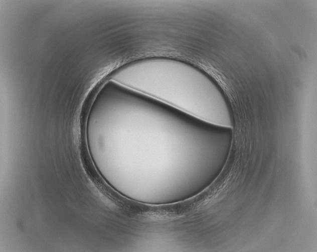 X0000116600630200912110940